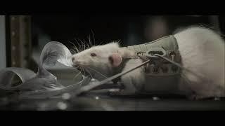 Life (2017) - Mouse scene