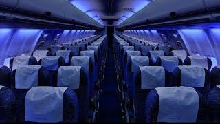 Airplane Cabin White Noise Jet Sounds | Great for Sleeping, Studying, Reading & Homework | 10 Hours