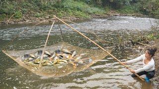 Village Girl Fishing, Traditional Fishing with Bamboo and Fishing Net, Girl Catching Many Fish.