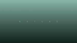 Nature (minimalism ambient soundscape music by Aaron Lambert)