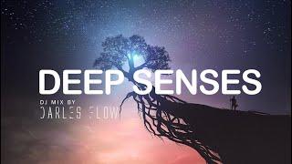 Deep Senses: Atmospheric & Underground Deep House Mix | Darles Flow