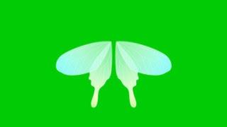 Animated 3D Beautiful Butterfly wings with green screen background | 4K