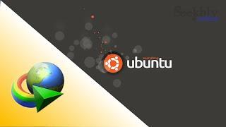Internet Download Manager | Alternative | Ubuntu