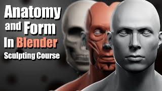 Anatomy and Form in Blender - Sculpting Course