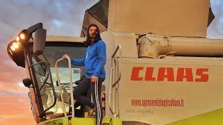 SOFIA su Claas Lexion 750 - Trebbiatura soia [GIRL At Work On Combine - Cabin View] 4K UHD