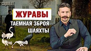 «Журавли дворные» — забытая шляхетская традиция ️ Сармат