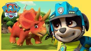 Over 1 Hour of Dino Rescues  | PAW Patrol | Cartoons for Kids