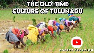 The Old Time Culture Of Tulunadu | Tulunadu Old Culture Video | Tulunadu Video | Poppyz Creation