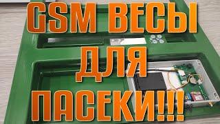 GSM ВЕСЫ ДЛЯ ПАСЕКИ!!!