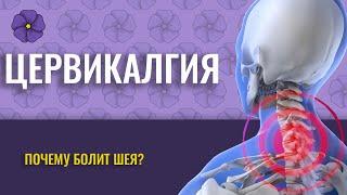 ЦЕРВИКАЛГИЯ. ПОЧЕМУ БОЛИТ ШЕЯ?