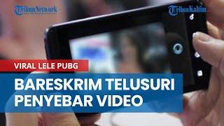 Viral Lele PUBG 13 Detik di Media Sosial, Bareskrim Turun Tangan Telusuri Penyebar Video