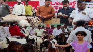 Bijapur Bakra Mandi...! Bakra Bazaar| 09-06-2024