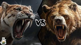 Saber-Toothed Tiger vs Cave Bear - Who Would Have Won This Fight?