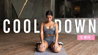 Do This After Your Workout | 5 Min Cool Down Stretch For Home Workouts