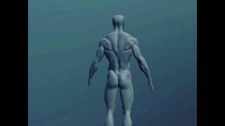 zbrush anatomy sculpting