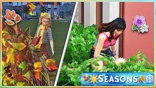 GARDENING CAREER | The Sims 4: SEASONS // Part 10