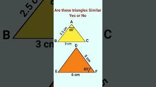 Triangles class 10||Chapter 6||Exercise 6.3