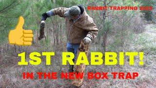 Rabbit Box Trap/1st Catch