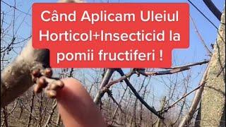 Când și cum Aplicam Uleiul Horticol+insecticid la Pomii Fructiferi 