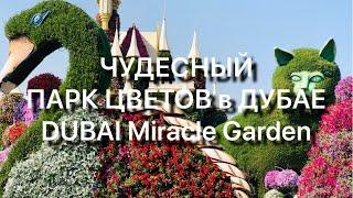 Чудесный ПАРК Цветов В ДУБАЕ DUBAI Miracle GARDEN январь 2021