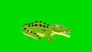 Crocodile Green Screen/Cartoon Crocodile/Green Screen Cartoon Crocodile/Green Screen Cartoon