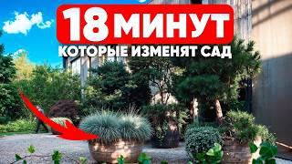 14 многолетников для контейнерного озеленения (ЛУЧШАЯ ПОДБОРКА в интернете)