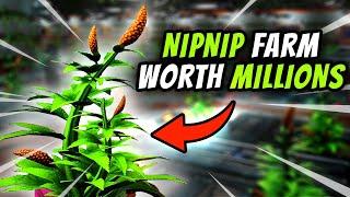 HUGE NipNip Bud Farm Worth Millions - No Man's Sky