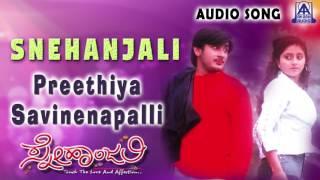 Snehanjali | "Preethiya Savinenapalli " Audio Song | Dhruv,Anju Varma | Akash Audio