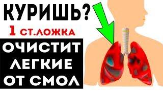 КУРИШЬ?! Это Выгонит Все СМОЛЫ из ЛЕГКИХ! Как очистить легкие и бросить курить