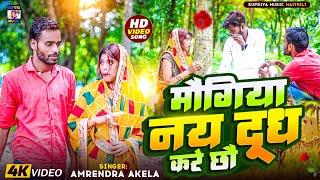 इ मौगिया किया नय दूध करे छो #New Maithili #Comedy Song 2024 #Amrendra Akela Paribarik