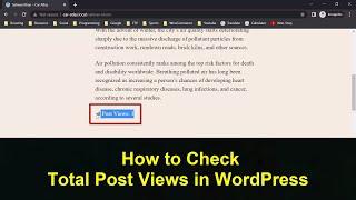 How to Check Total Post Views in WordPress | Total Post View Count in WP Website | Learn with Sazzad