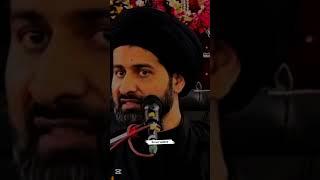 Muhammad bin abu bakkar ko kahan shaheed kr dia gia |#allamaarifhussainkazmi #azadarehussain #shorts