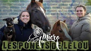 AU MICRO #1 - LES PONEYS DE LELOU