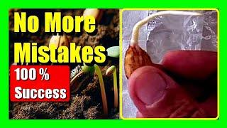 9 Mistakes Why Seeds Fail to Germinate : Germinate Seeds With 100% Success