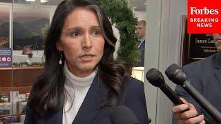 BREAKING NEWS: Tulsi Gabbard Issues Public Response To Fall Of Assad In Syria