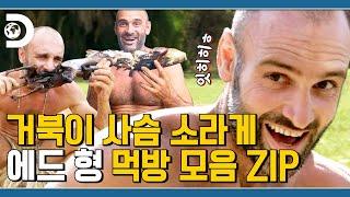 사슴 족발부터 거북이 커피까지 야생에서 가장 맛있게 먹는 남자의 먹방 모음 [고독한 생존가]