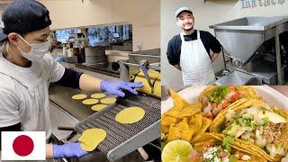 Trabajando de taquero en Japon! Japoneses se enamoran de la tortilla mexicana / entrevista