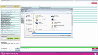 Email Extractor Online Demo Video