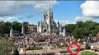 Walt Disney World Vlog | Day 6 | Cinderella's Royal Table | October 2019 | Adam Hattan