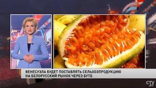 Венесуэла заинтересована в поставке сельхозпродукции в Беларусь через БУТБ