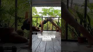 Downdog to Plank transition #yoga #downdogtoplank