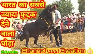 Horse Dance Video | Competition Video | Farman Khan Horse | Video By Yadav Creation 