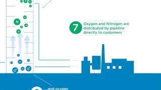 Industrial Gas Suppliers | How Gases Are Separated from Air | by nexAir