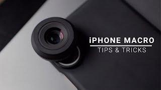 iPhone Macro Lens Tips and Tricks with Tom Rich - SANDMARC