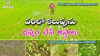 వరిలో కలుపును సులభంగా నివారించవచ్చు || Weed control in Dry Direct Seeded rice || Karshaka Mitra