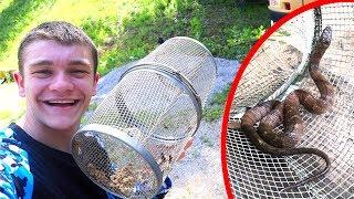 I Trapped Snakes in my Minnow Trap!