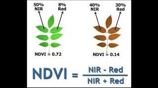 what is vegetation index and types of vegetation index? PART 1