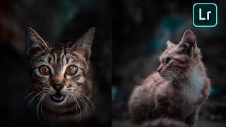 LIGHTROOM TUTORIAL ; DARK PORTRAIT EFFECT EDITING