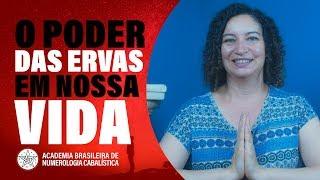 O PODER DAS ERVAS EM NOSSA VIDA | Angél Rosa