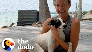 Traveling Couple Falls In Love With A Beach Dog | The Dodo Faith = Restored